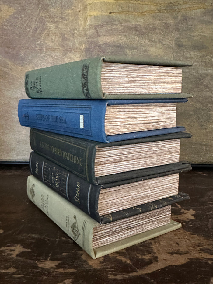 Faux Book Box