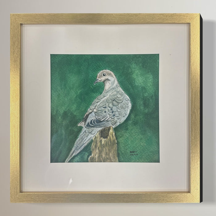 Original Painting: Dove Watercolor C