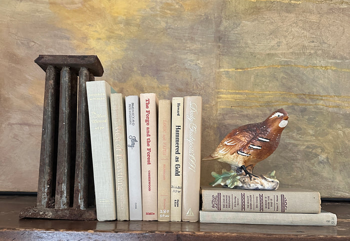 Books by Color: Neutral