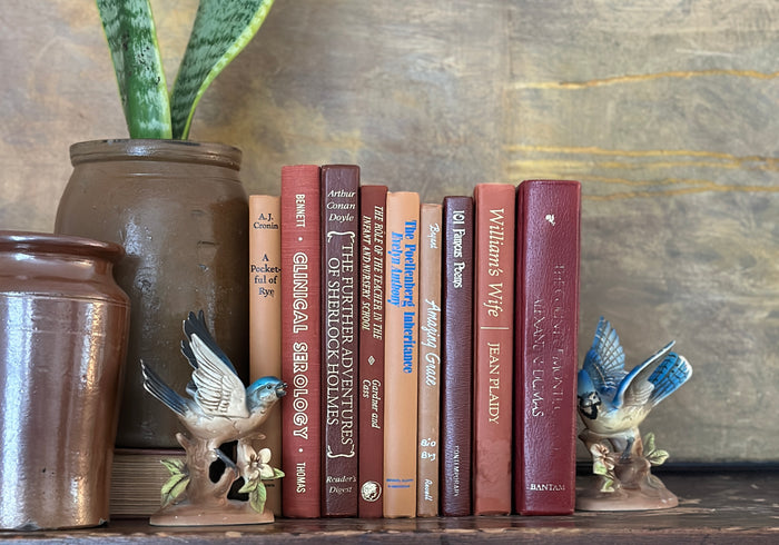 Books by Color: Spice