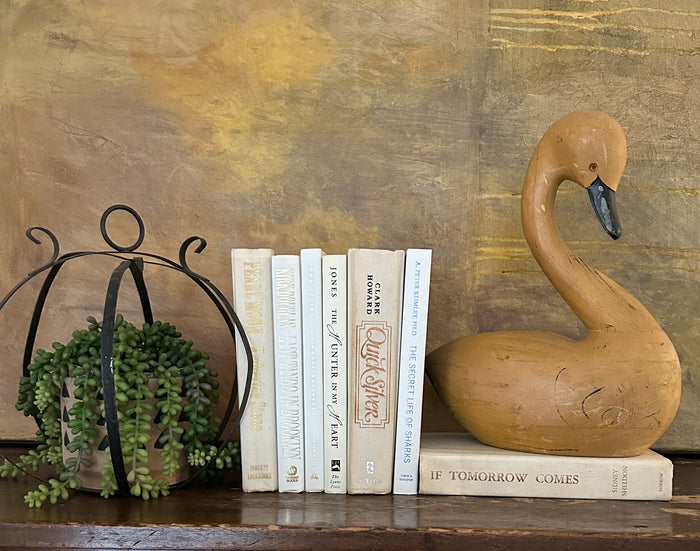 Books by Color: Whites & Off Whites