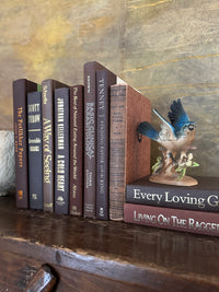 Books by Color: Browns
