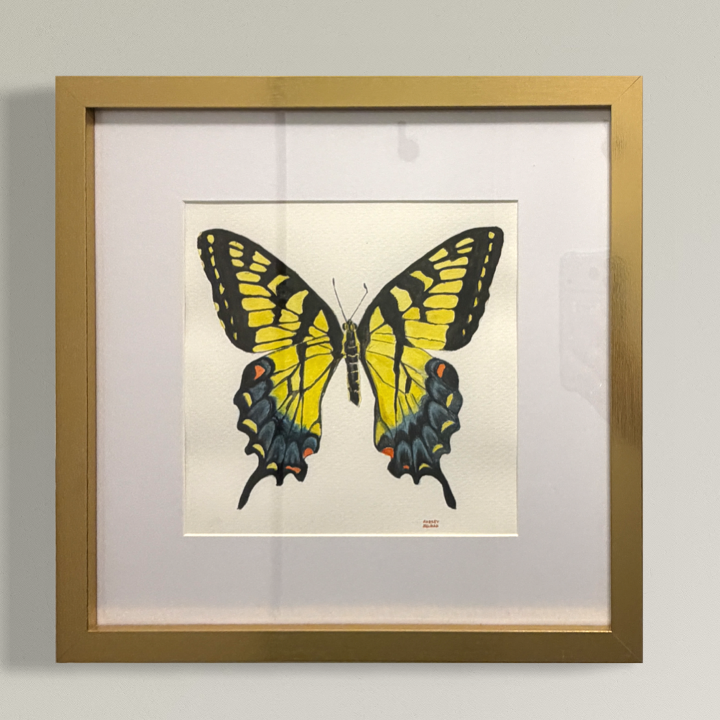 Original Watercolor Swallowtail Butterfly