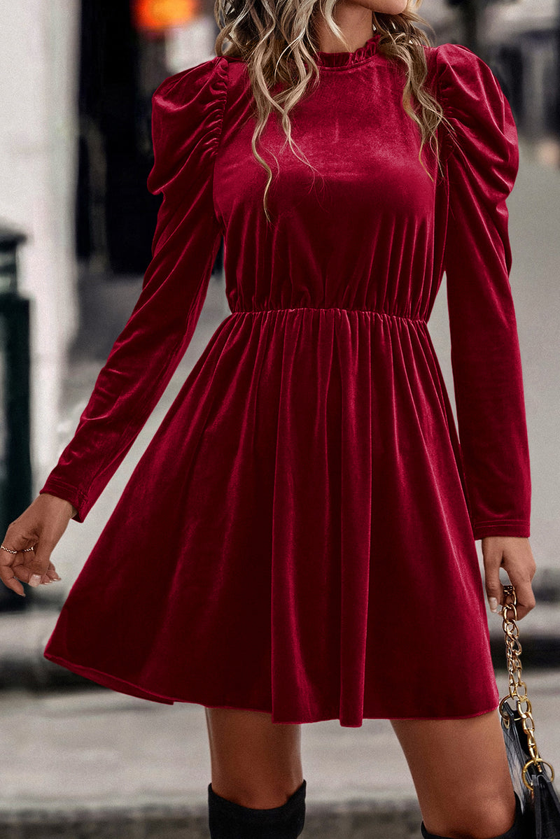 *Website Exclusive* Velvet Frilled Neck Gigot Sleeve Swing Dress