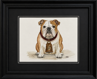 Bulldog Original Watercolor Painting