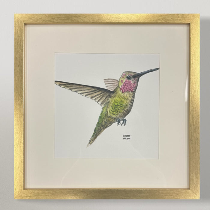 Hummingbird (F) Original Watercolor Painting
