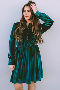 *Website Exclusive* Green Velvet Frill Neckline Buttoned Front Ruffle Mini Dress