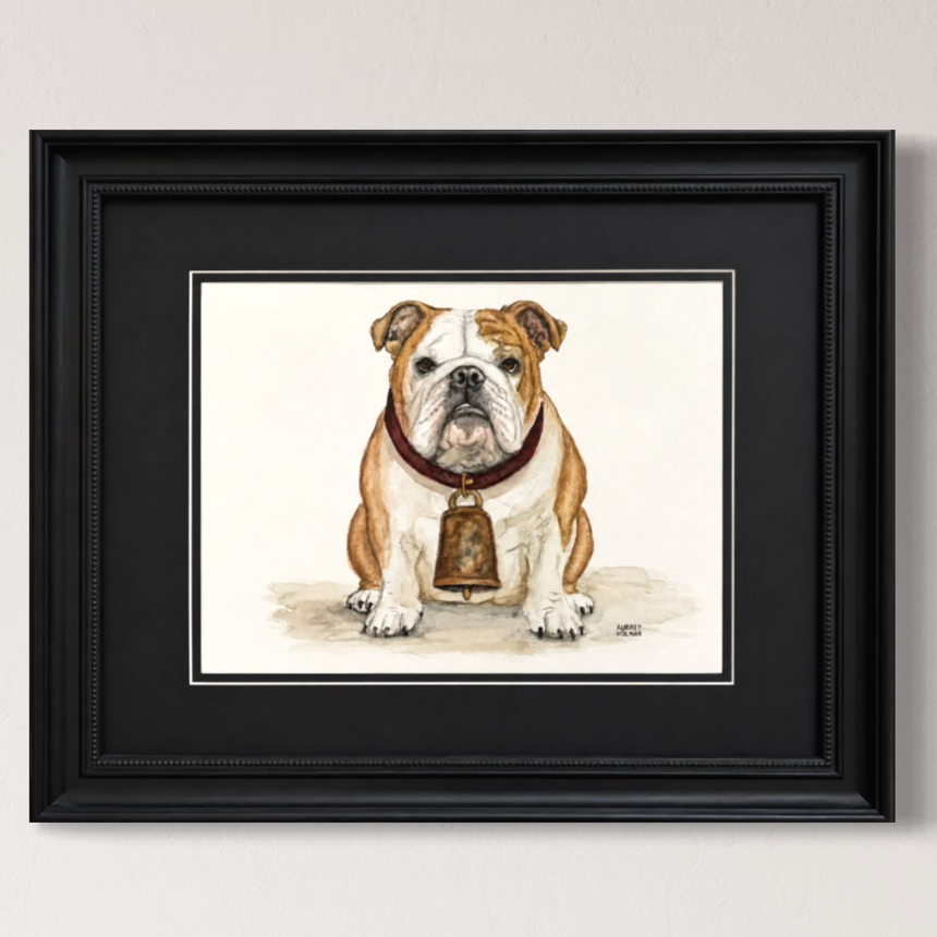 Bulldog Original Watercolor Painting