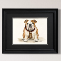 Bulldog Original Watercolor Painting