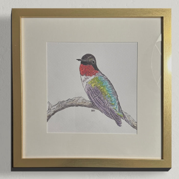 Hummingbird (D) Original Watercolor Painting