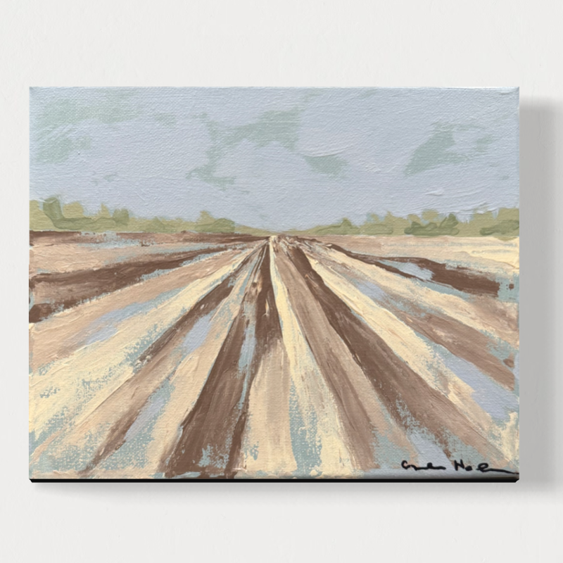 #3 Shop Crop Series