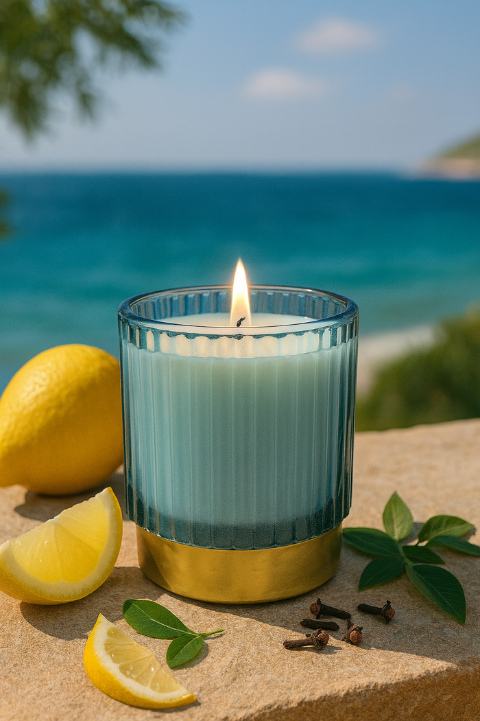 Light Blue – Coconut Apricot Wax Candle (6 oz, Single Wick)