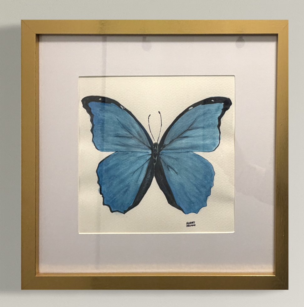 Hand painted Watercolor: Blue Morpho Butterfly