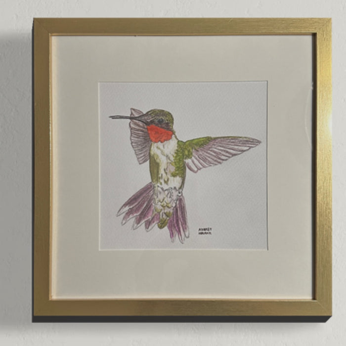Hummingbird (C) Original Watercolor Painting