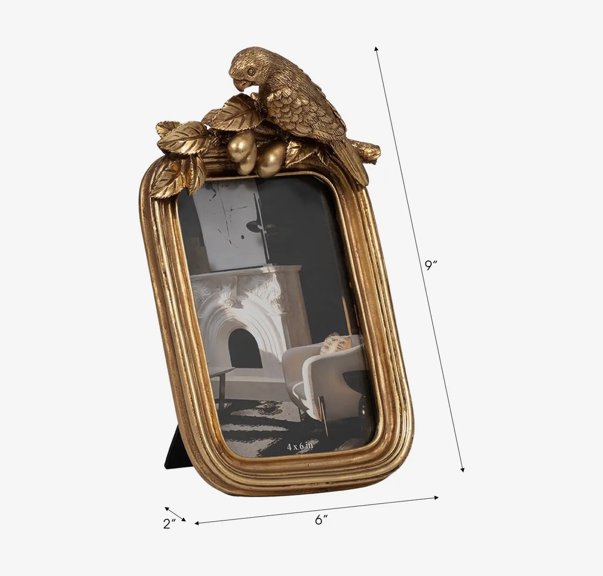 4x6 Gold Bird Frame