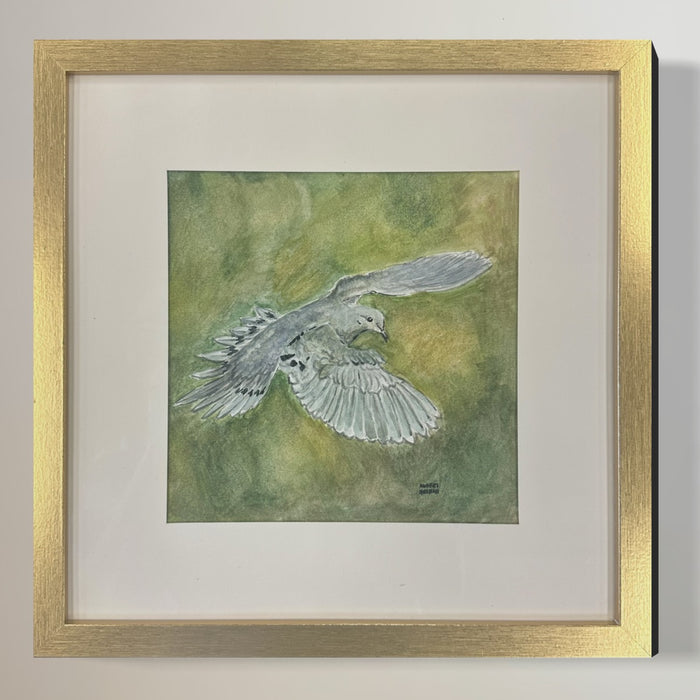 Original Painting: Dove Watercolor A