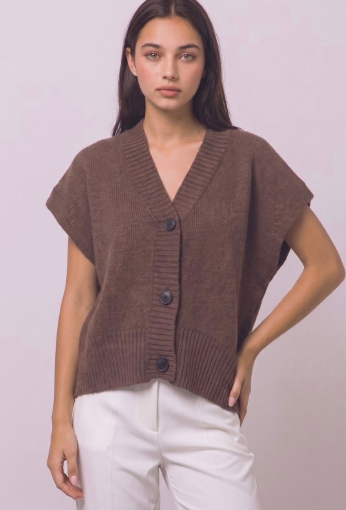 Brown Sweater Vest