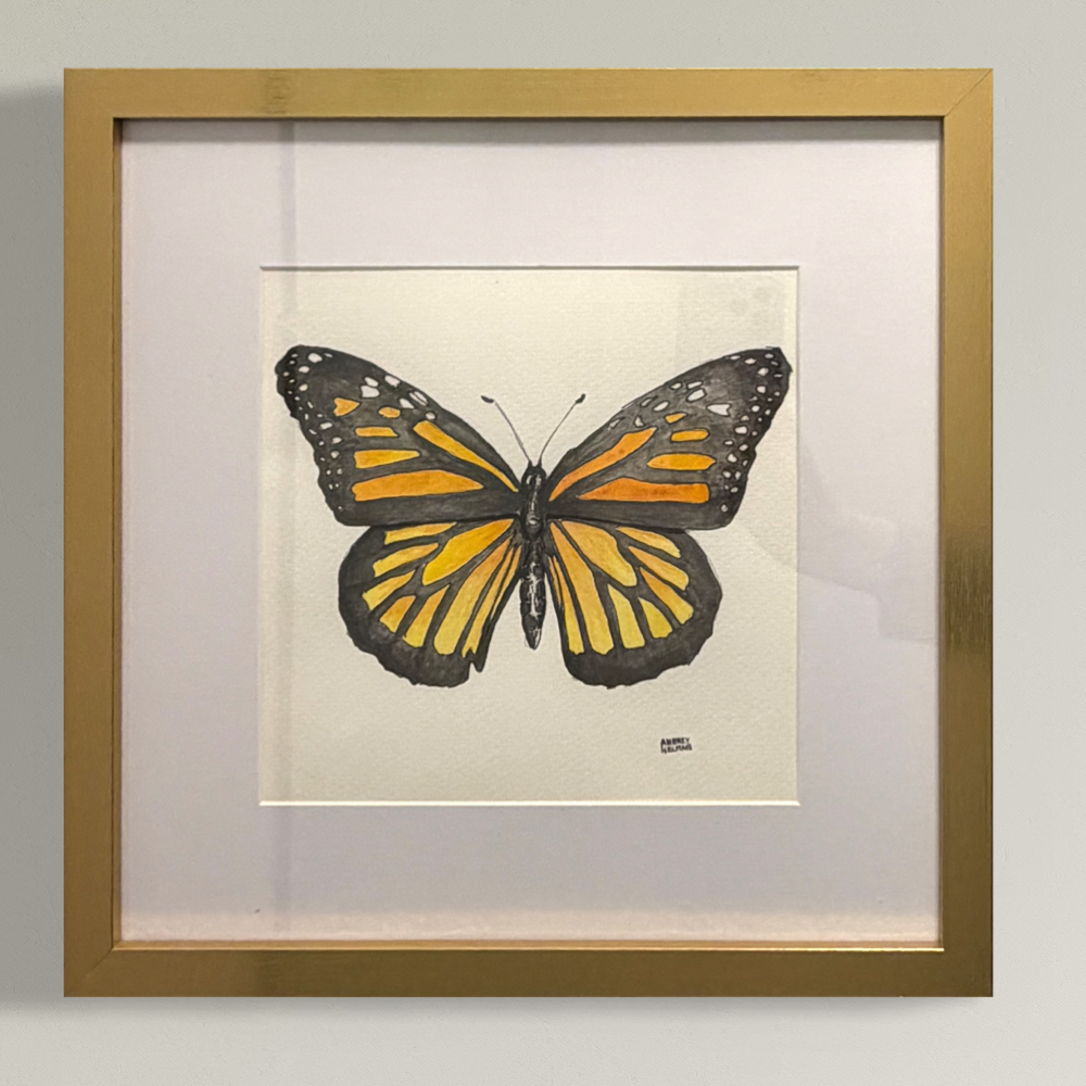 Hand Painted Watercolor: Monarch Butterfly