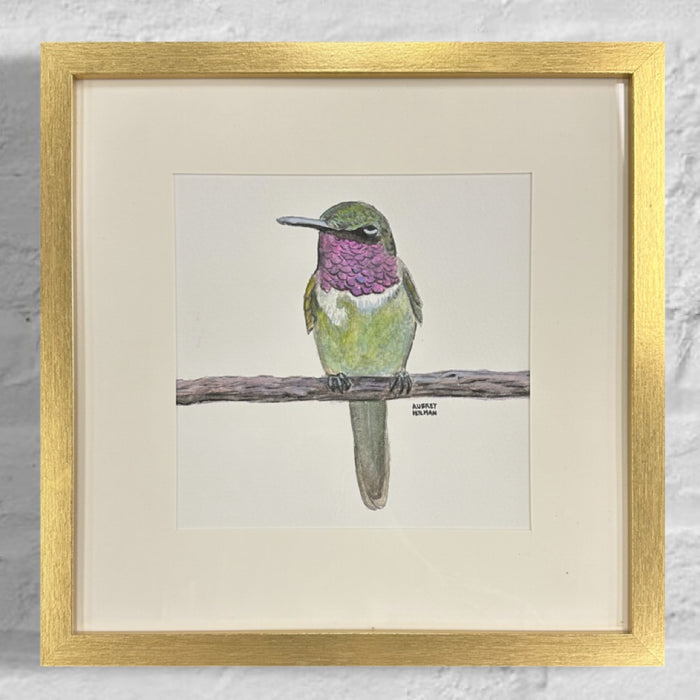 Hummingbird (H) Original Watercolor Painting