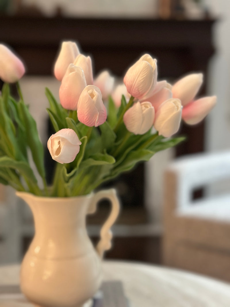 Light Pink/White Tulip