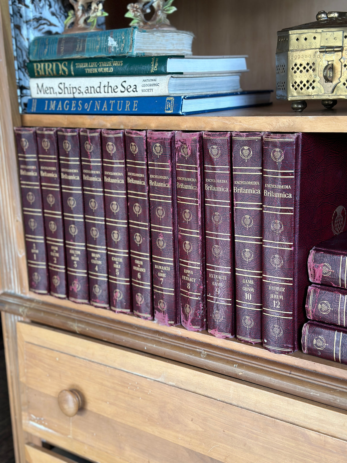 1950s Perfectly Tattered Burgundy Encyclopedia
