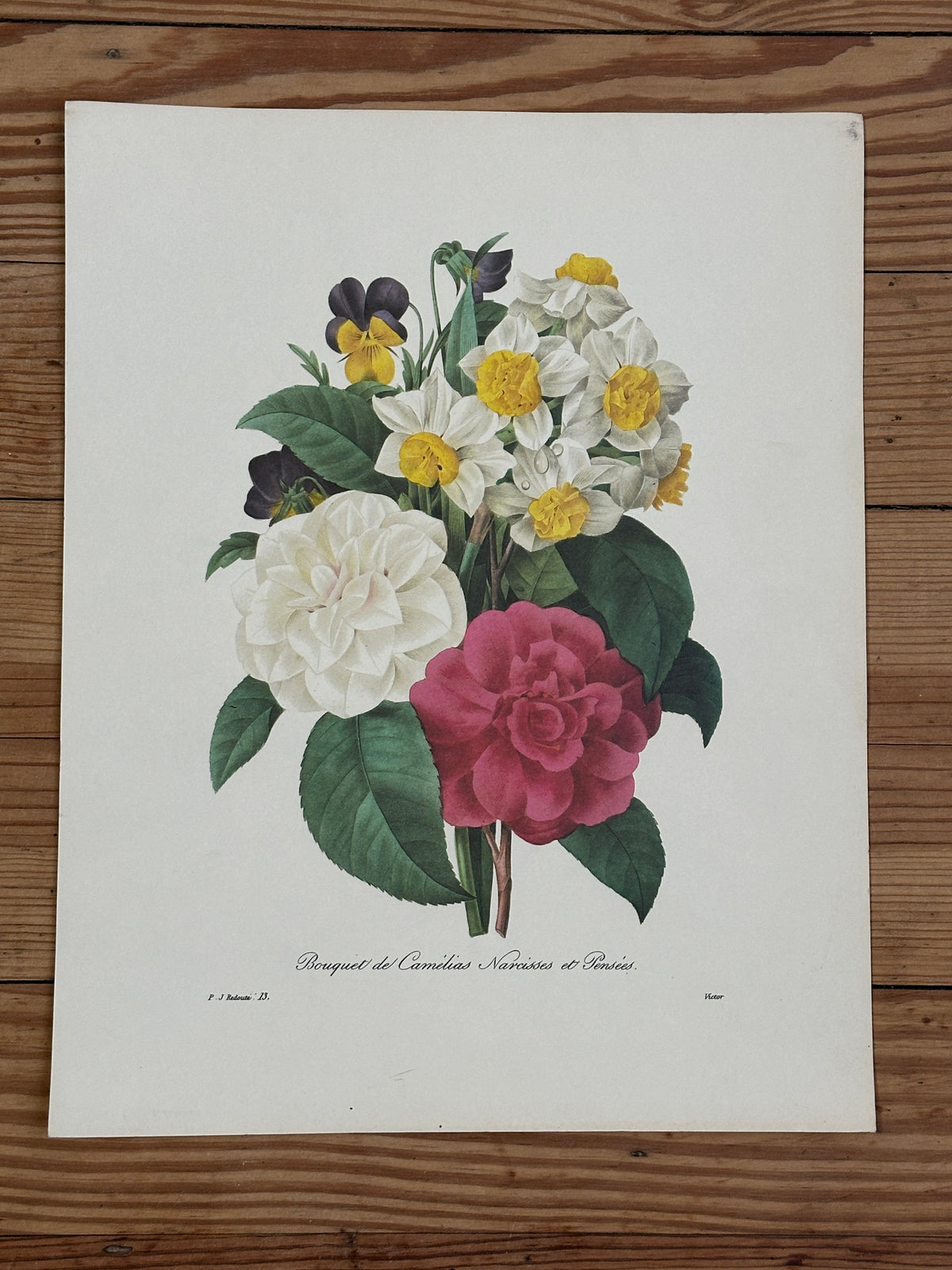 Vintage Botanical Print 8