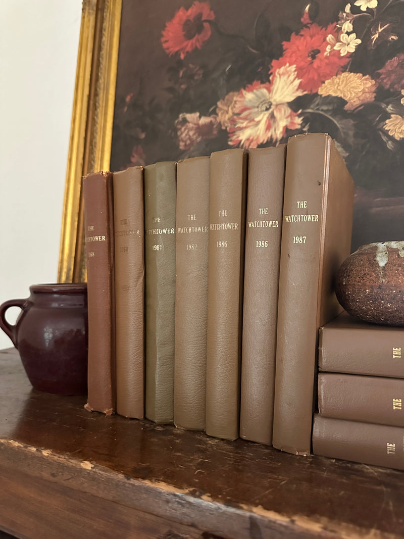 Decorative Book/ Shades of Brown/Tan