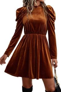 *Website Exclusive* Velvet Frilled Neck Gigot Sleeve Swing Dress